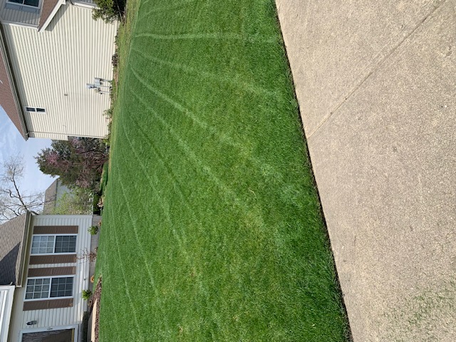 Spring Lawn Care Tips for a Healthy Cincinnati Yard
