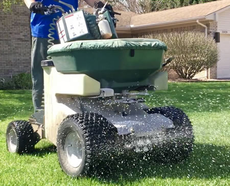 Why Lawn Fertilization Is Essential for Thick, Green Grass in Cincinnati