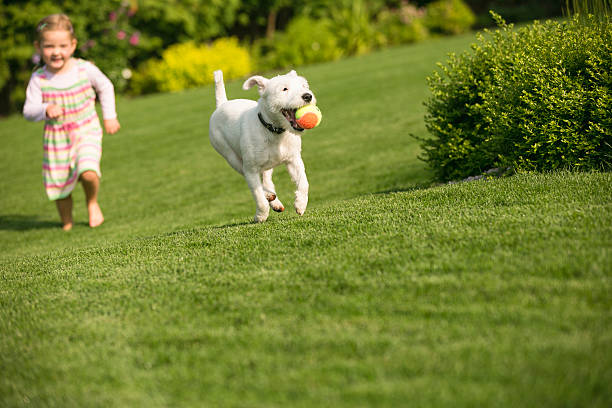 Affordable Lawn Fertilization in Lebanon, Ohio | Family & Pet-Friendly Lawn Care by Advanced Nutrient Lawn Services