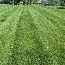 Affordable-Lawn-Fertilization-in-Lebanon-Ohio-Family-Pet-Friendly-Lawn-Care-by-Advanced-Nutrient-Lawn-Services 0