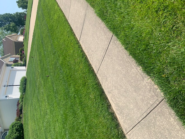 Elevate Your Lawn with Advanced Nutrient Lawn Services: Quality Lawn Fertilization in Springboro, Ohio Thumbnail