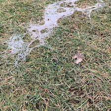 Get-Your-Lawn-Ready-for-Spring-with-Expert-Lawn-Fertilization-in-Mason-Ohio 0