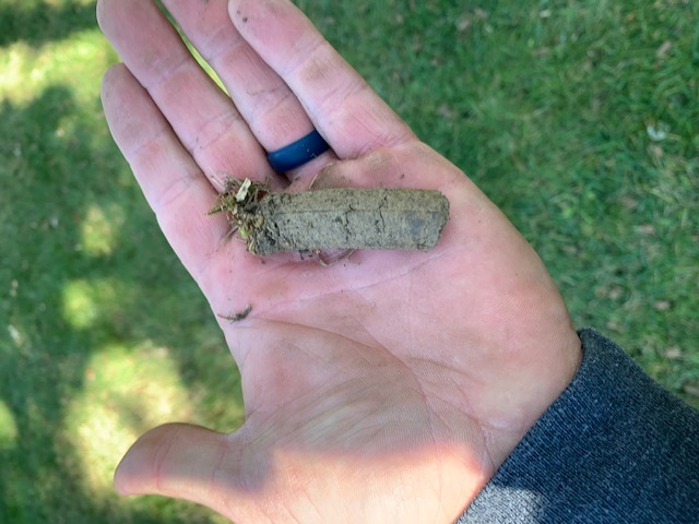 High Quality Aeration and Overseeding Completed in Cincinnati, Ohio  Thumbnail