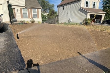 Lawn Renovations